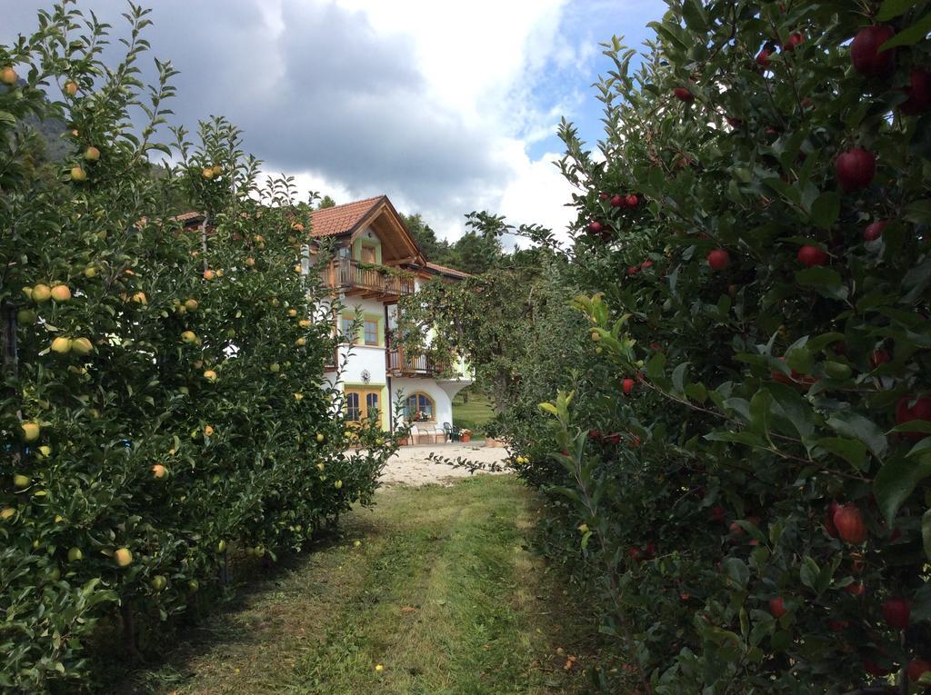 Вилла Agriturismo Maso Tafol Cloz Экстерьер фото