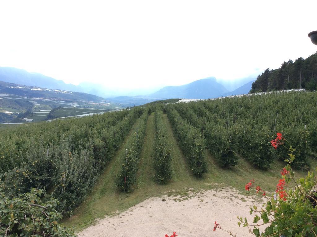 Вилла Agriturismo Maso Tafol Cloz Экстерьер фото