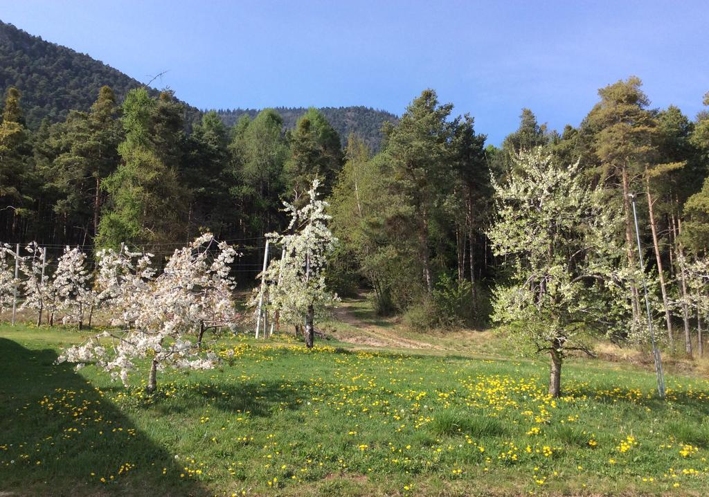 Вилла Agriturismo Maso Tafol Cloz Экстерьер фото