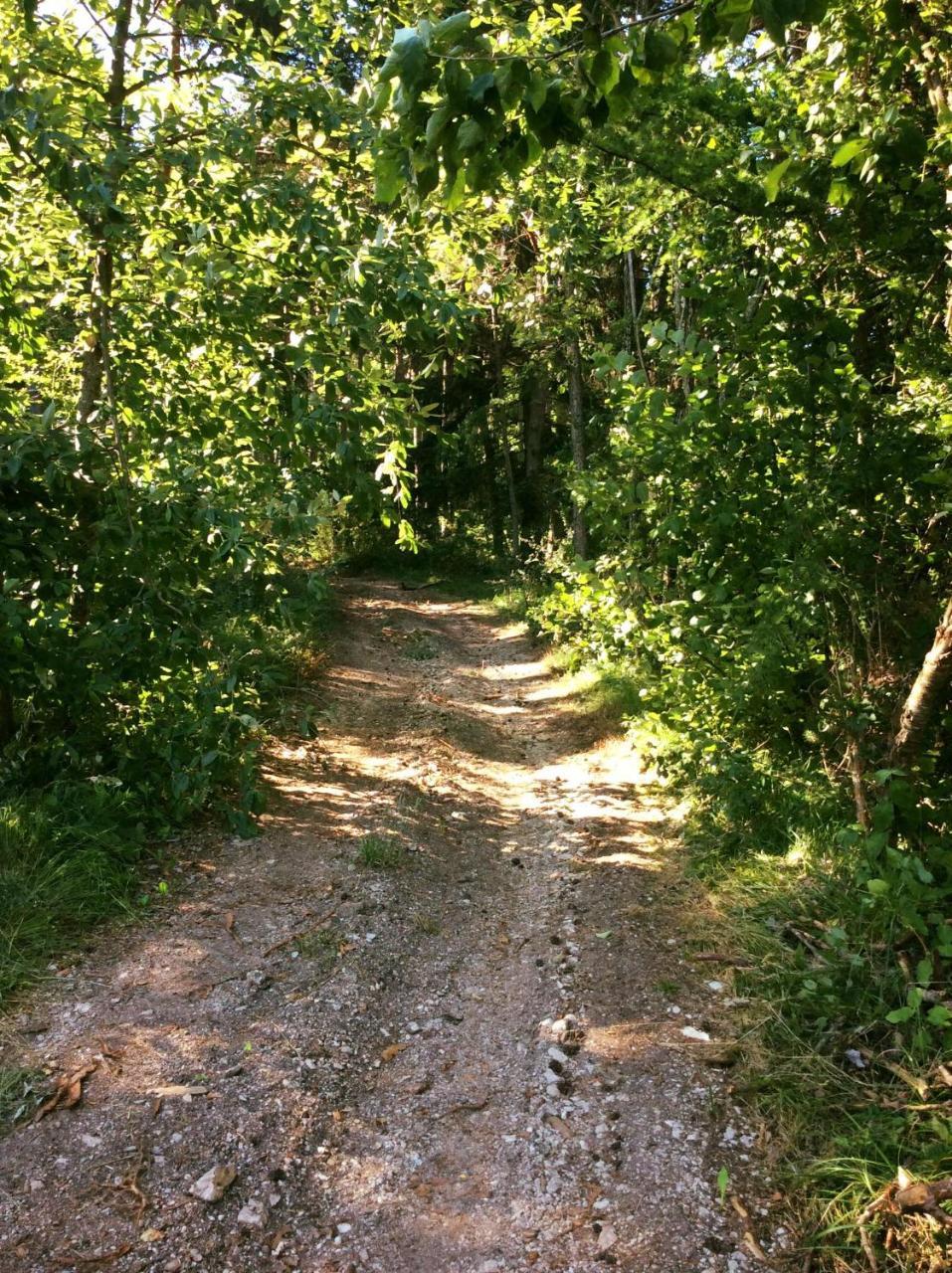 Вилла Agriturismo Maso Tafol Cloz Экстерьер фото
